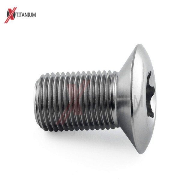 Titanium Torx Raised Countersunk Head screws
